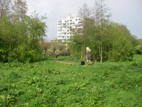 A woman walking outdoors in nature